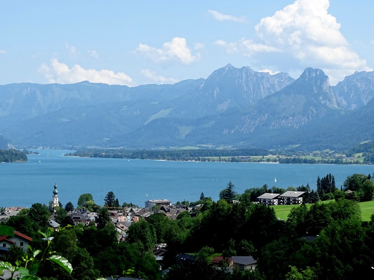 The Hills Are Alive With The Sound of&nbsp;Moo…